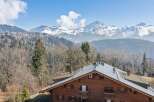 Experience breathtaking mountain views from this charming wooden chalet, nestled amidst a serene forest landscape.