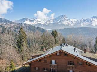 Experience breathtaking mountain views from this charming wooden chalet, nestled amidst a serene forest landscape.