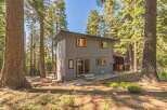 Nestled amongst towering pine trees, this modern home offers a serene retreat.