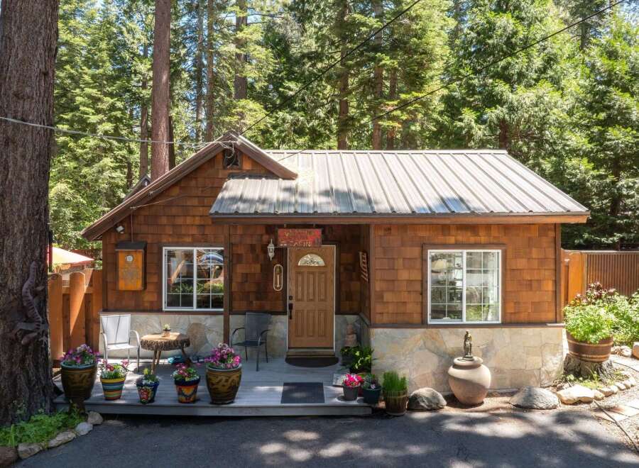 Charming cedar-shingled cabin nestled amongst tall pine trees, offering a rustic retreat.