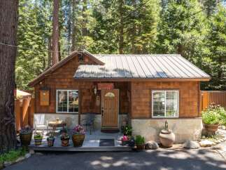 Charming cedar-shingled cabin nestled amongst tall pine trees, offering a rustic retreat.