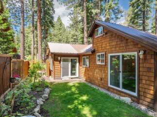 Nestled amongst tall pine trees, this charming cabin offers a serene retreat.