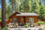 Charming wooden cabin nestled amongst tall pine trees, featuring a welcoming porch adorned with potted flowers and a rustic.