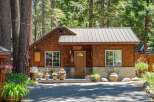 Charming wooden cabin nestled amongst tall trees, featuring a welcoming porch adorned with potted plants and a rustic stone foundation.