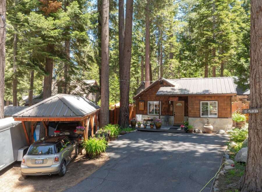 Nestled amongst tall pine trees, this charming cabin offers a serene retreat.