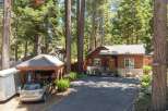 Nestled amongst tall pine trees, this charming cabin offers a serene retreat.