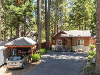 Nestled amongst tall pine trees, this charming cabin offers a serene retreat.