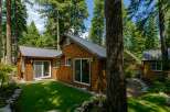 Nestled amongst tall pine trees, this charming cabin offers a serene retreat.