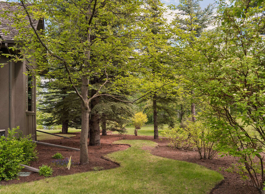 Discover a beautifully landscaped backyard with a winding path through lush greenery and mature trees.