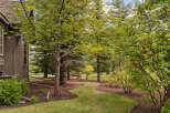 Discover a beautifully landscaped backyard with a winding path through lush greenery and mature trees.