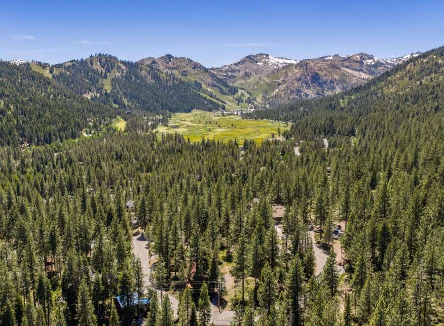 Nestled amidst a dense forest of mature pine trees, this property offers a serene mountain escape.