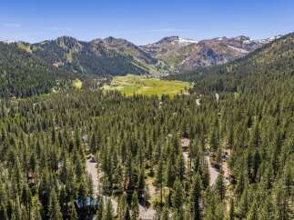 Nestled amidst a dense forest of mature pine trees, this property offers a serene mountain escape.