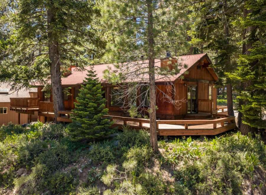 Nestled amongst tall pine trees, this charming wooden cabin offers a serene mountain retreat.