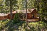 Nestled amongst tall pine trees, this charming wooden cabin offers a serene mountain retreat.