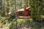 Nestled amidst tall pine trees, this charming wooden cabin offers a serene mountain retreat.