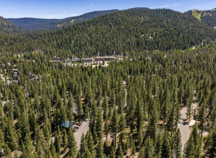 Nestled amidst a dense forest of towering pine trees, this property offers a serene mountain retreat.
