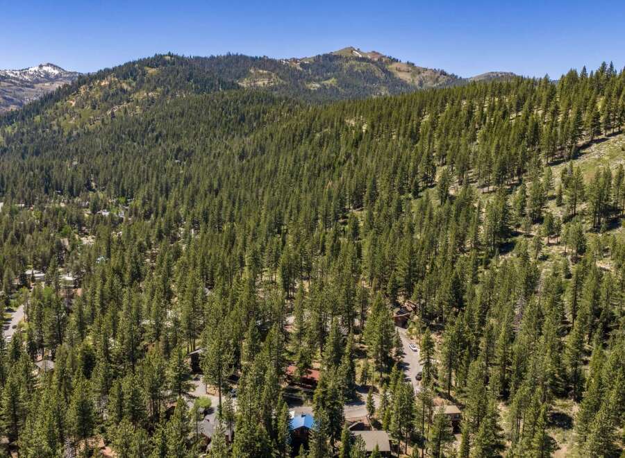 Nestled amidst a dense forest of pine trees, this property offers a serene mountain retreat.