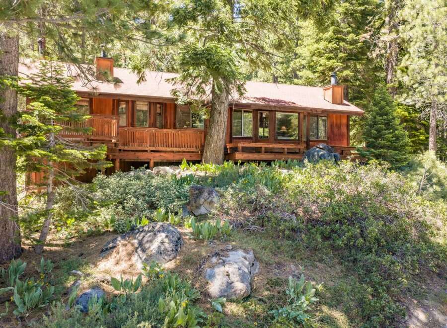 Nestled amidst towering pine trees, this charming wooden cabin offers a serene retreat.