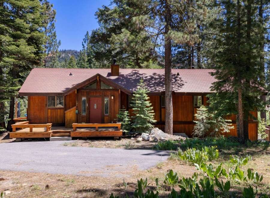 Nestled amongst tall pine trees, this charming wooden cabin offers a serene mountain retreat.