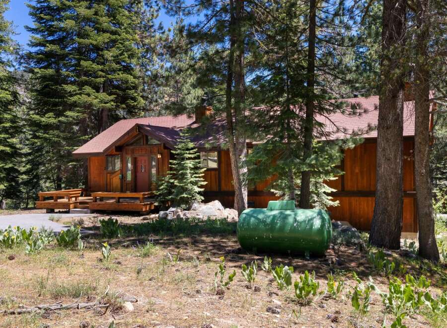 Nestled amongst tall pine trees, this charming wooden cabin offers a serene mountain retreat.