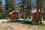 Nestled amongst tall pine trees, this charming wooden cabin offers a serene mountain retreat.