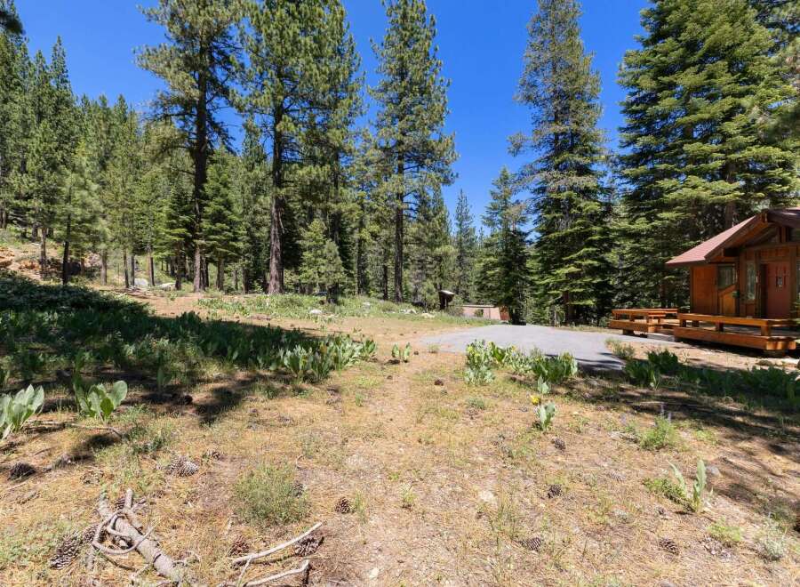 Nestled amidst towering pine trees, this charming cabin offers a serene mountain retreat.