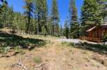 Nestled amidst towering pine trees, this charming cabin offers a serene mountain retreat.