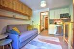 This cozy studio apartment features a comfortable sofa, a compact kitchen area with modern appliances, and ample storage with overhead wooden cabinets.