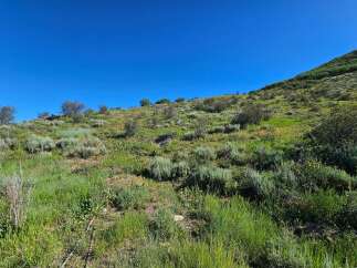 Discover this stunning hillside property, perfect for those seeking natural beauty and tranquility.