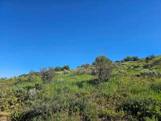 Discover this stunning property with rolling green hills and lush vegetation, perfect for those seeking a connection with nature.