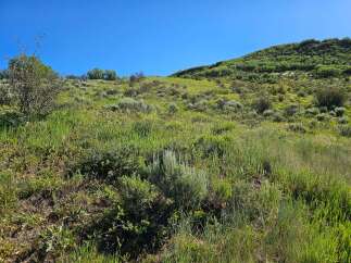 Discover this stunning hillside property, perfect for those seeking a connection with nature.