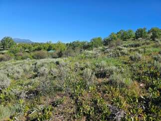 Discover this stunning property with breathtaking mountain views and lush, natural landscaping.