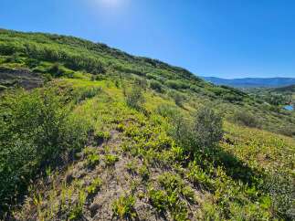Discover breathtaking natural beauty with this stunning hillside property, offering panoramic views of the surrounding valley and mountains.