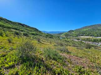 Experience breathtaking panoramic views from this stunning property, nestled amidst rolling green hills and vibrant wildflowers.