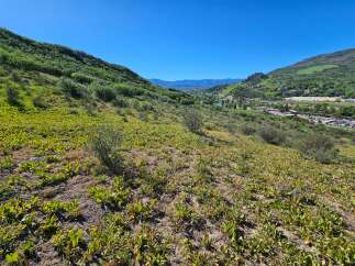 Discover breathtaking mountain views from this prime real estate opportunity.