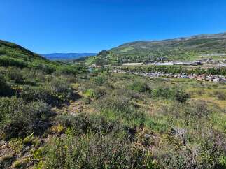 Discover breathtaking mountain views and a charming town nestled in a lush valley.