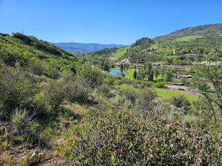 Discover breathtaking mountain views and serene natural beauty from this prime real estate location.