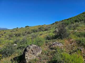 Discover this stunning property with rolling hills and lush greenery, perfect for those seeking a serene escape.