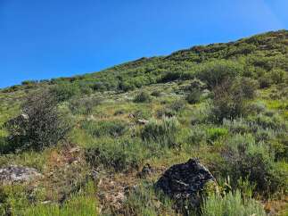 Discover this stunning natural landscape, perfect for outdoor enthusiasts and those seeking tranquility.