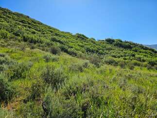 Discover this stunning property nestled on a lush, green hillside, offering breathtaking panoramic views.