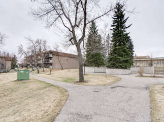 Discover comfortable living in this apartment complex featuring a well-maintained courtyard with mature trees and paved walkways.