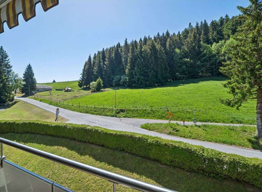 Experience the serene beauty of this alpine property, nestled amidst lush green meadows and a dense forest.