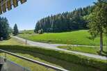 Experience the serene beauty of this alpine property, nestled amidst lush green meadows and a dense forest.