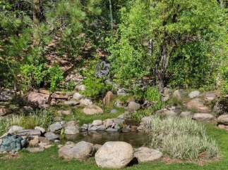 Discover a serene backyard oasis featuring a charming water feature surrounded by lush greenery and natural rock landscaping.