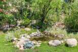 Discover a serene backyard oasis featuring a charming pond surrounded by lush greenery and natural stone landscaping.