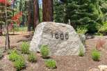 Welcome to this stunning property featuring a prominent address marker, '1000', set against a backdrop of mature trees and lush landscaping.