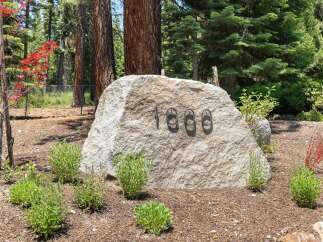 Welcome to this stunning property featuring a prominent address marker, '1000', set against a backdrop of mature trees and lush landscaping.