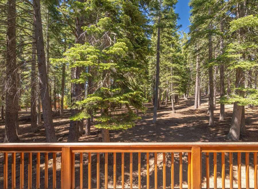 Experience the serene beauty of this wooded property, offering a tranquil escape surrounded by mature pine trees.