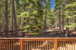 Experience the serene beauty of this wooded property, offering a tranquil escape surrounded by mature pine trees.