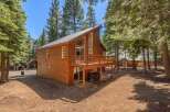 Nestled amidst tall pine trees, this charming wooden cabin offers a serene mountain retreat.